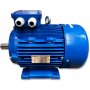 SILNIK ELEKTRYCZNY 4kW 400/690V 2870obr 3FAZOWY